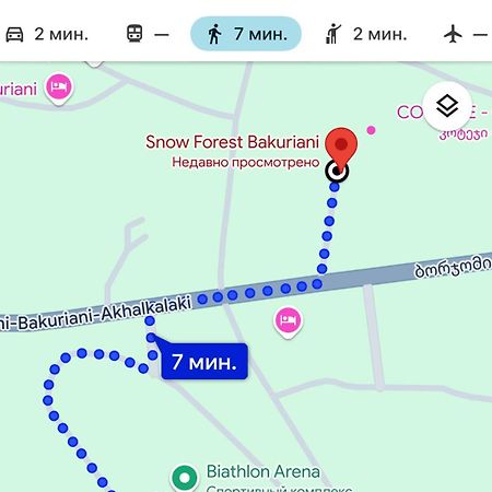 Snow Forest Bakuriani Apartment 10 المظهر الخارجي الصورة